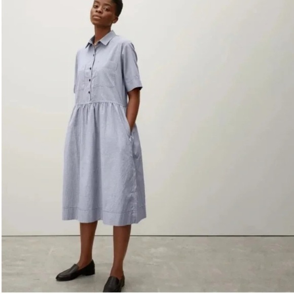 Everlane Dresses & Skirts - Everlane The Parklet Shirtdress Blue White Cotton Oversized Sz 0